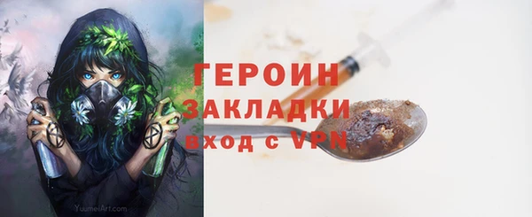 гашик Ладушкин