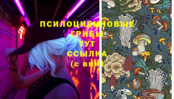 гашик Ладушкин