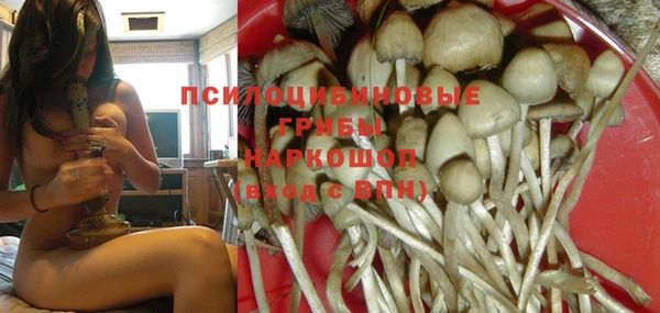 гашик Ладушкин