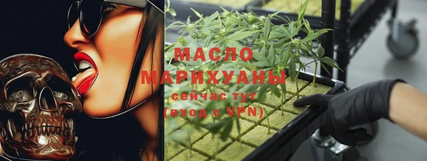 гашик Ладушкин